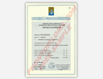 Universita Per Stranieri Di Siena - Fake Diploma Sample from Italy